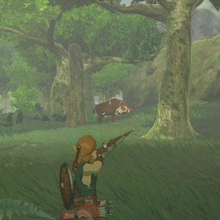 Embark on an Epic Adventure with The Legend of Zelda: Breath of the Wild - World Edition for Nintendo Switch